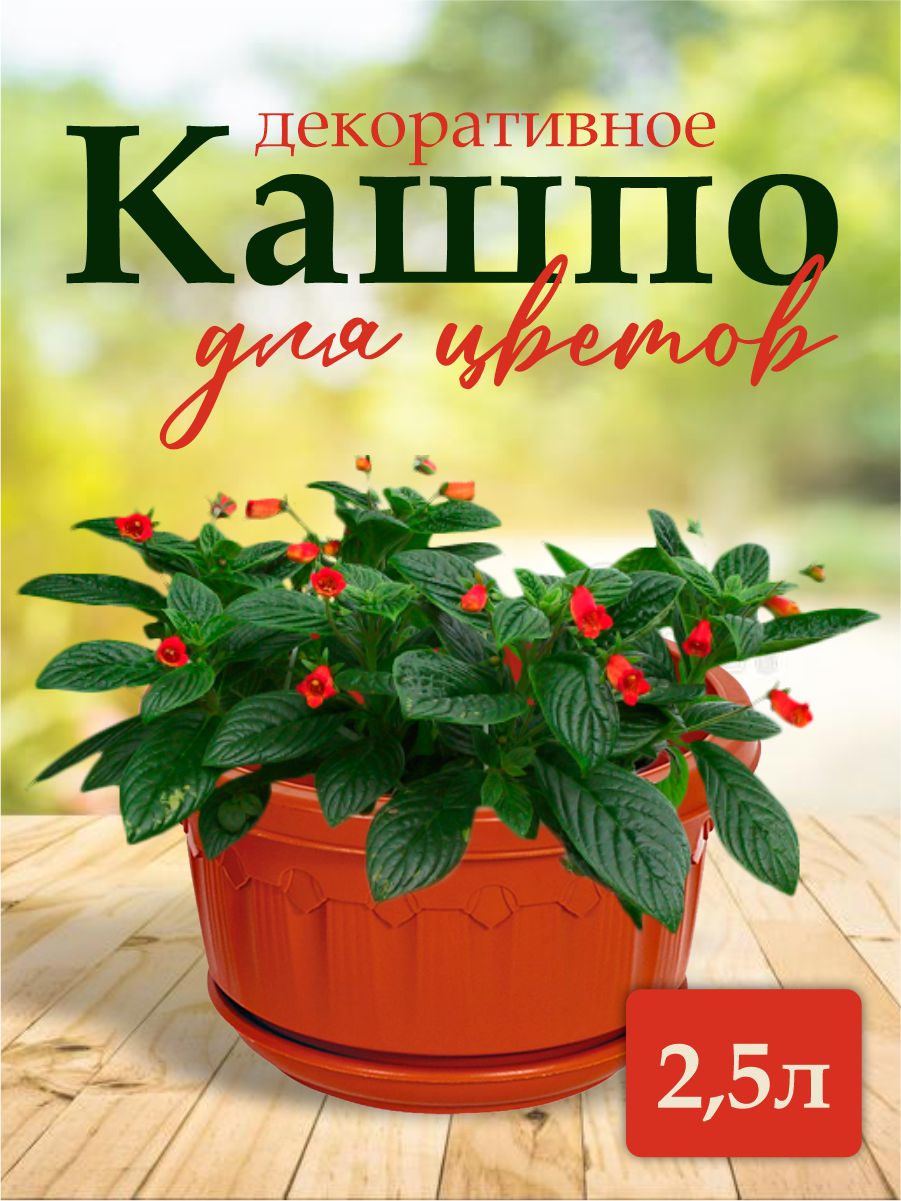 Как выбрать подвесное кашпо для цветов? | Советы цветовода💚 | Дзен