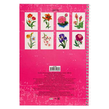 Альбом для рисования Prof-Press Рисуем от точки к точке Цветы 32 листа