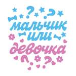 Наклейка оформительская Праздник Мальчик или девочка?