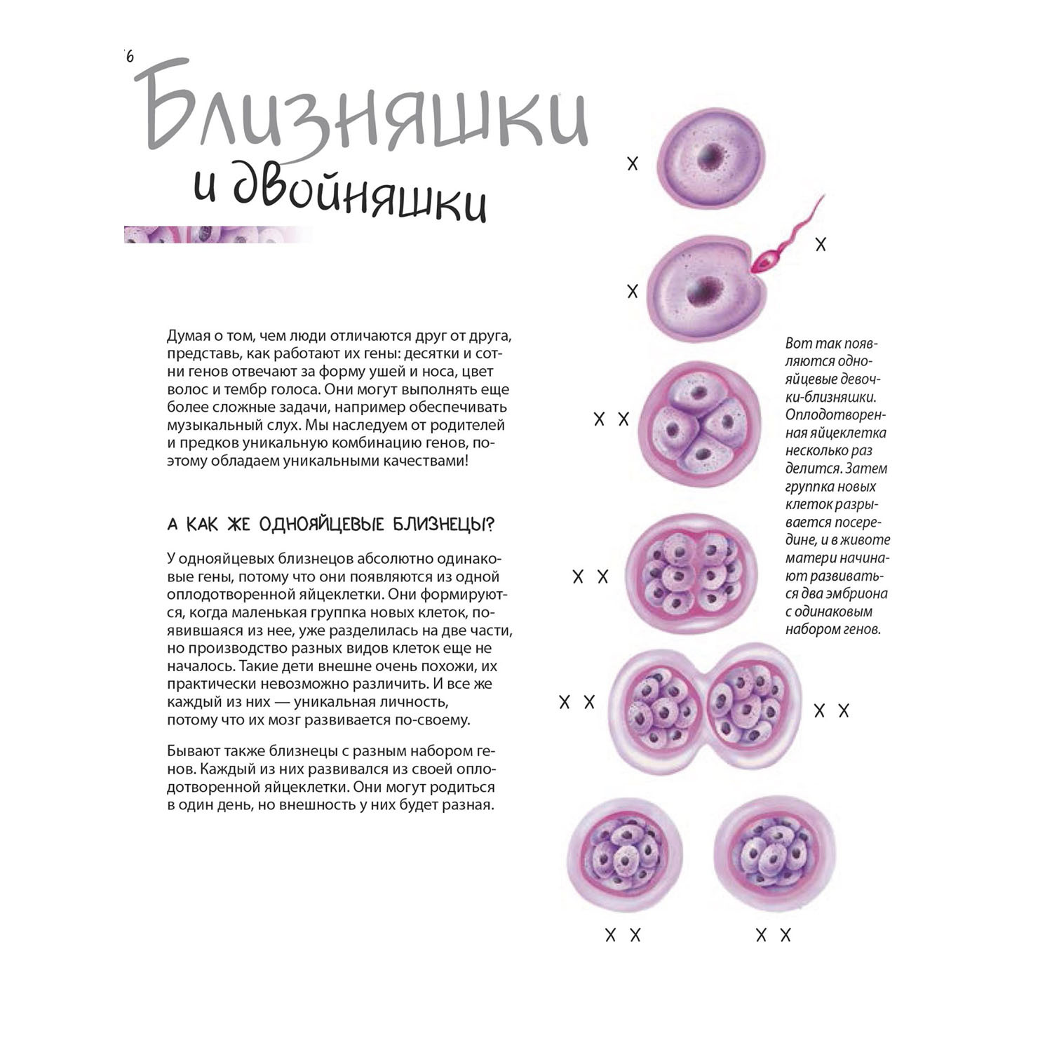 Книга ПИТЕР Удивительный мир генов Нескучная наука - фото 2