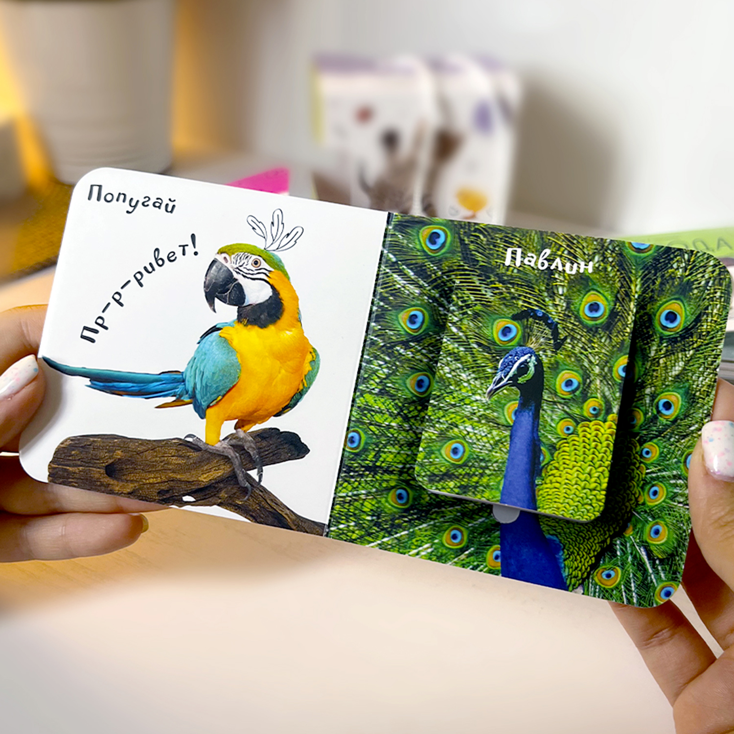 Книги с окошками Malamalama Мир в картинках для малышей интерактивные карточки - фото 7