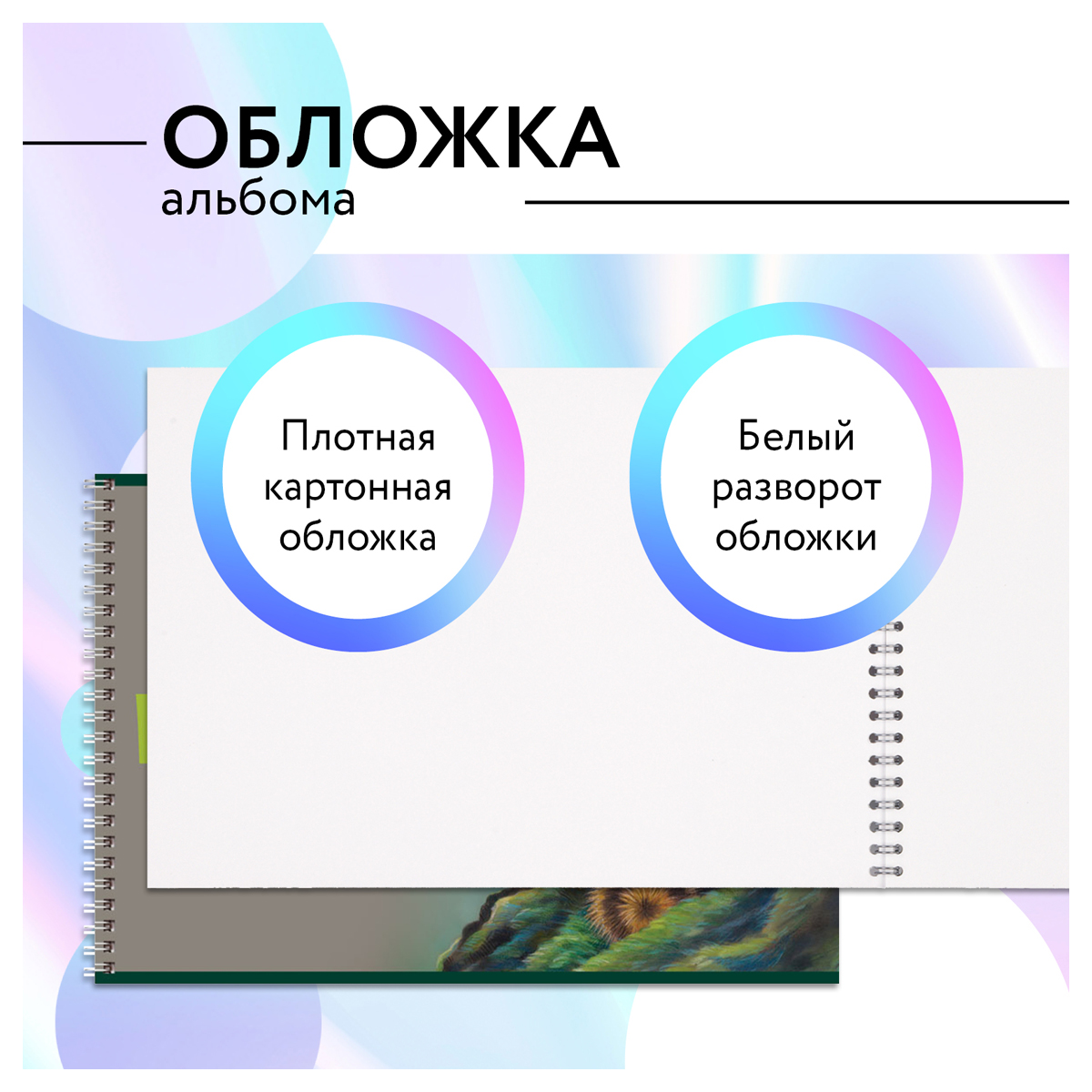 Альбом для рисования BG Лесные жители 40 листов А4 на гребне 2 шт - фото 3