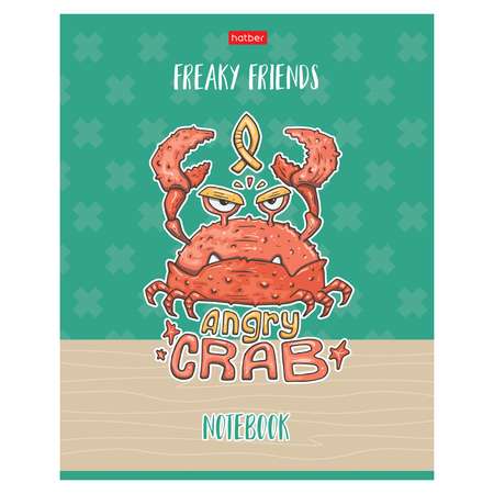 Тетрадь Hatber Freaky friends А5 Клетка 40л 74953