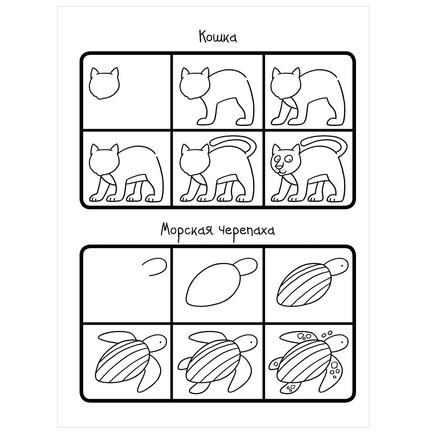 Книга АСТ Как научиться рисовать 101 животное - фото 3