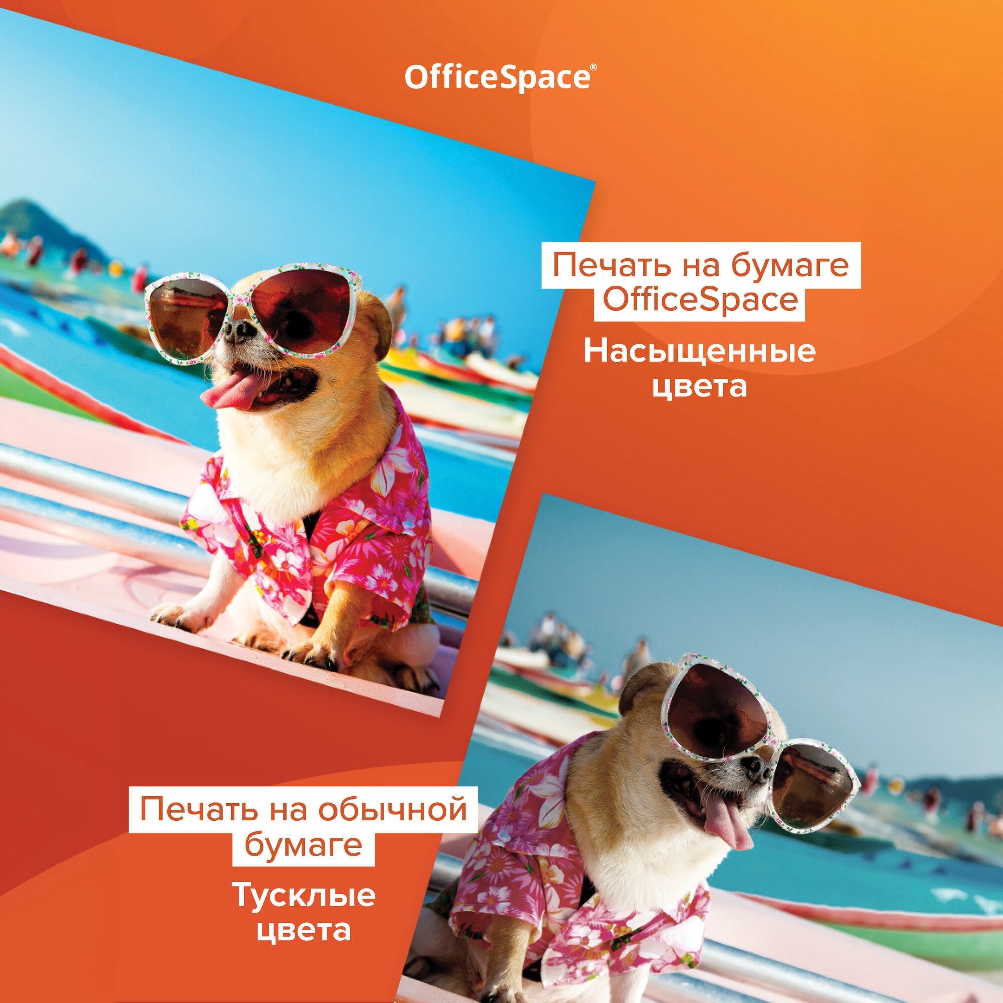 Фотобумага OfficeSpace А4 для стр. принтеров 50л глянцевая односторонняя - фото 6