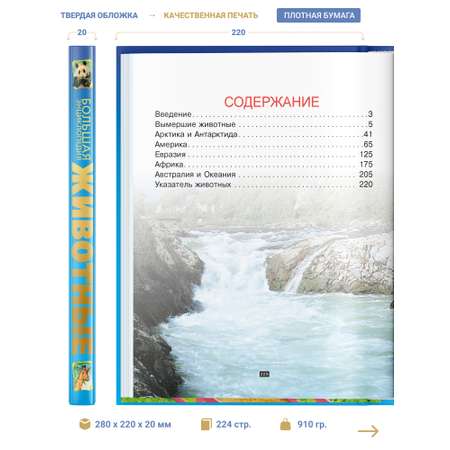 Книга Харвест Книга Большая энциклопедия для детей школьников про животных