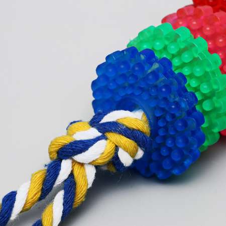 Игрушка Пижон жевательная «Шестерёнка на канате» 32 см диаметр колец 5 см микс цветов