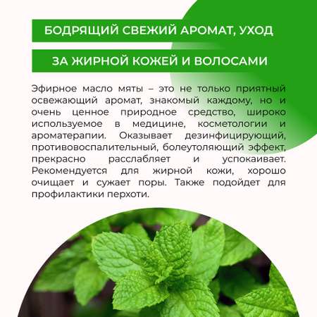 Эфирное масло Siberina натуральное «Мяты» с антисептическим действием 8 мл