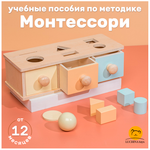 Учебное пособие LUCHINA toys Монтессори для малышей LUCHINA toys Сортер деревянный Развивающие игрушки обучающая игра.