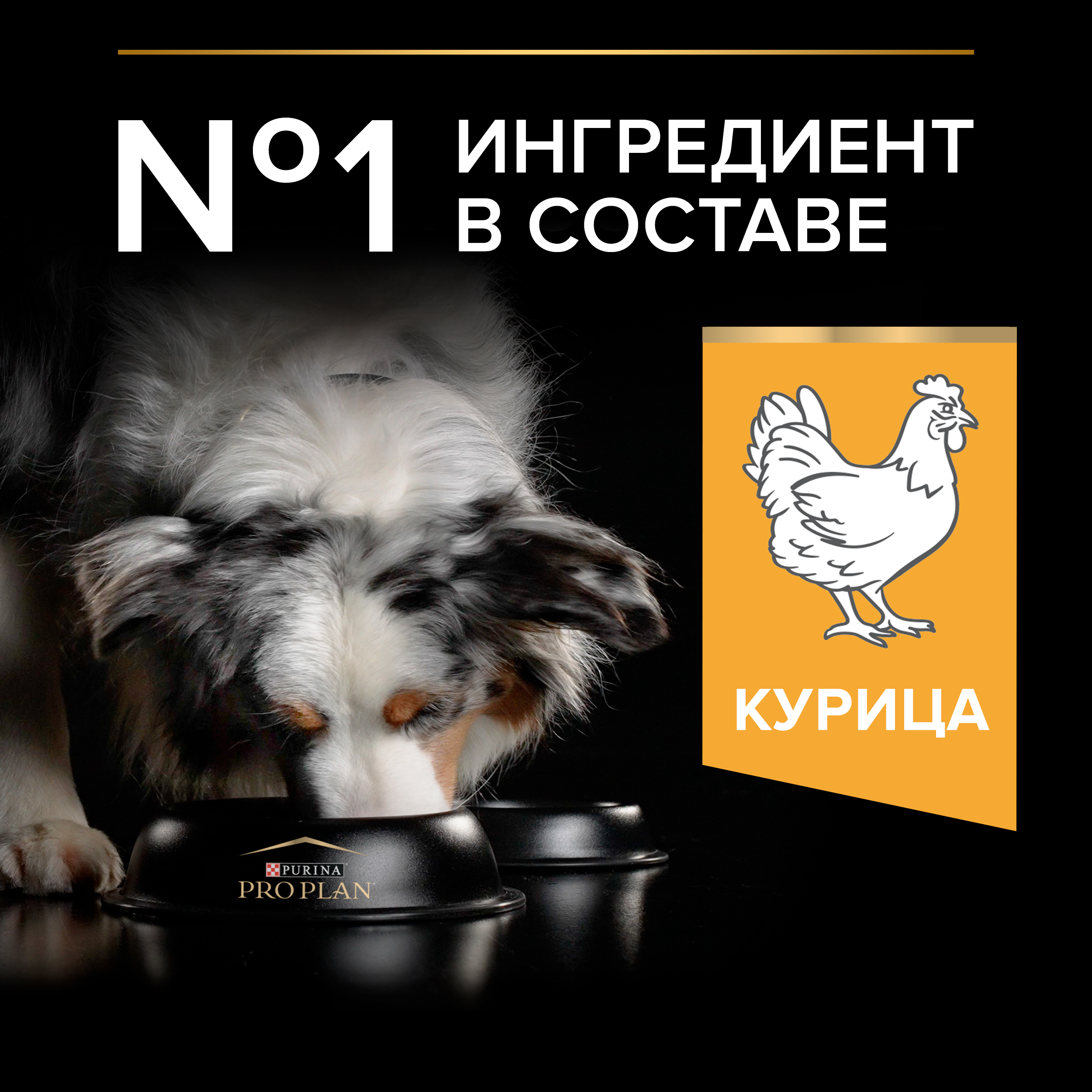 Сухой корм для собак PRO PLAN 7 кг курица (полнорационный) - фото 4