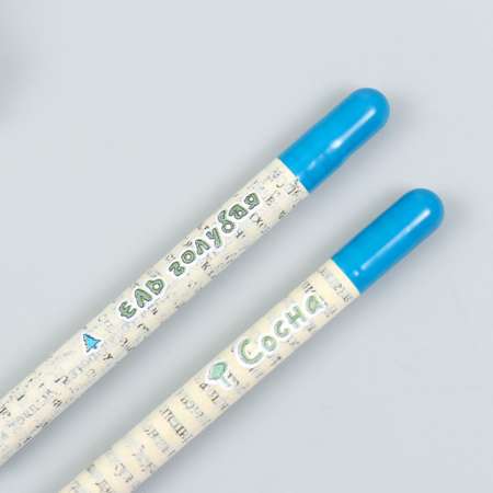 Растущие карандаши Лас Играс mini «Голубая ель и Сосна» набор 2 шт.