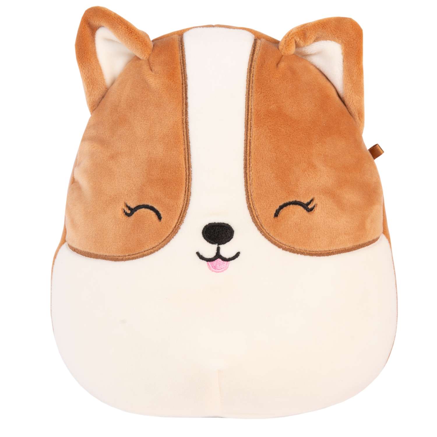 Corgi squishmallow store