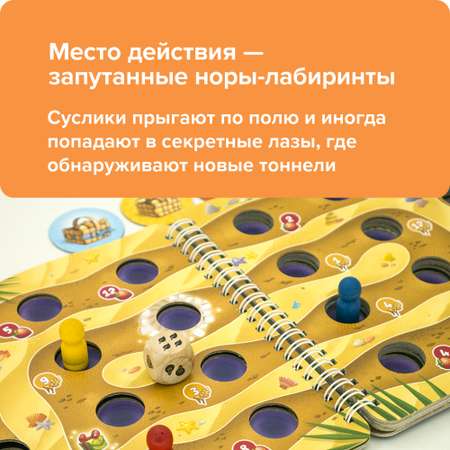 Настольная игра Банда умников Проныры