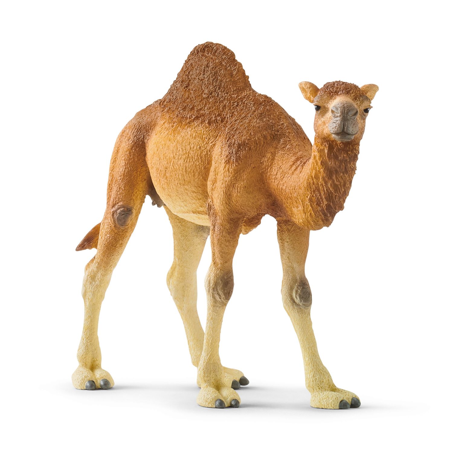 Фигурка SCHLEICH Одногорбый верблюд 14832