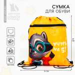 Сумка ArtFox STUDY для обуви «Учусь на 5!» 2 секции 41х31 см