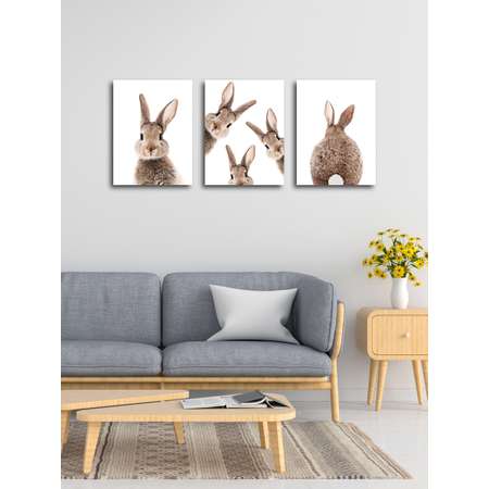 Комплект картин на холсте LOFTime С подрамником 3 шт Смешные кролики К-310-3040