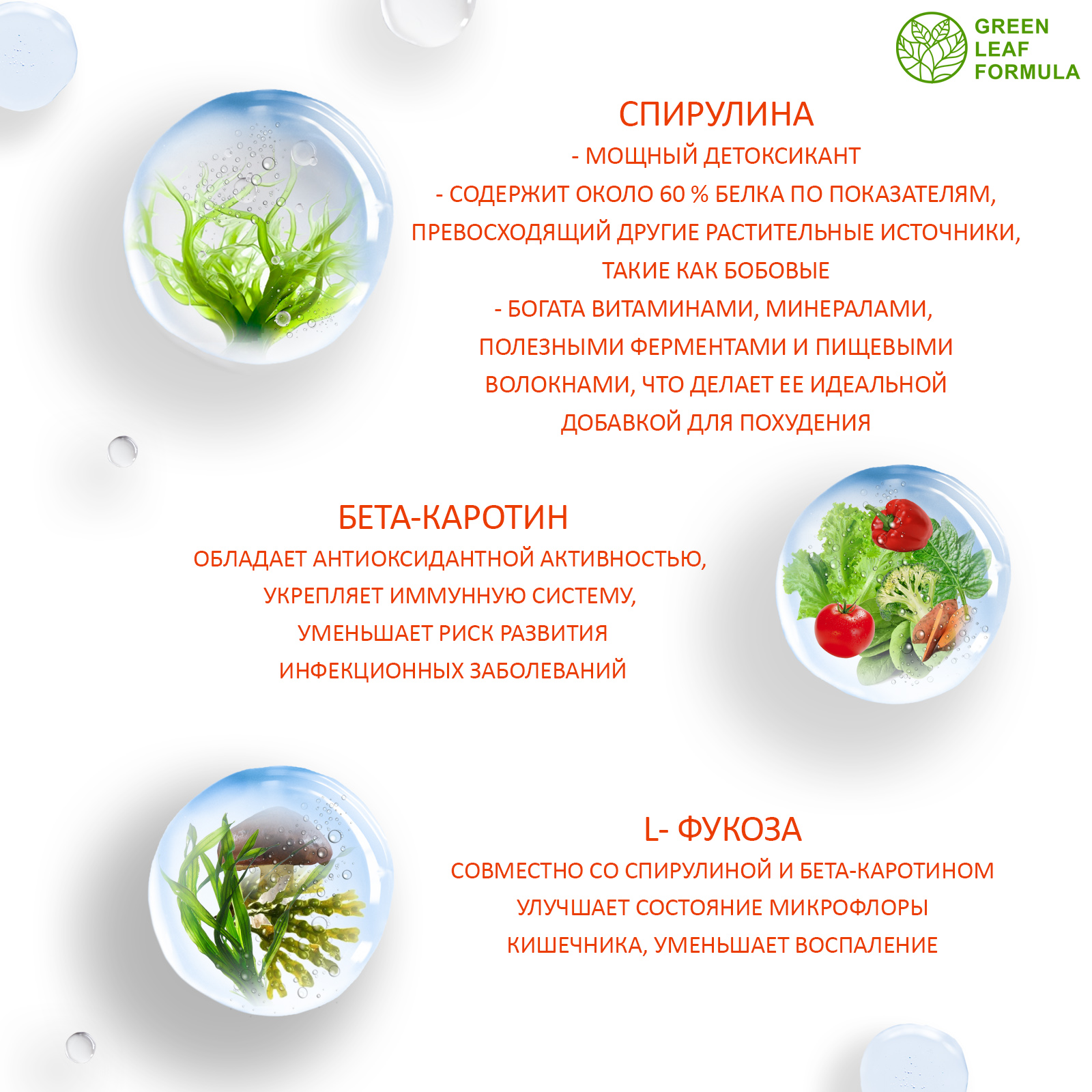 Набор для похудения и детокса Green Leaf Formula хром пиколинат спирулина очищение организма - фото 12