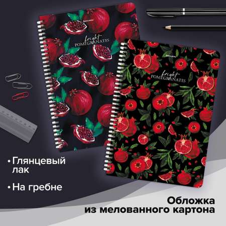 Общая тетрадь Brauberg клетка 96 лист. 2 шт.
