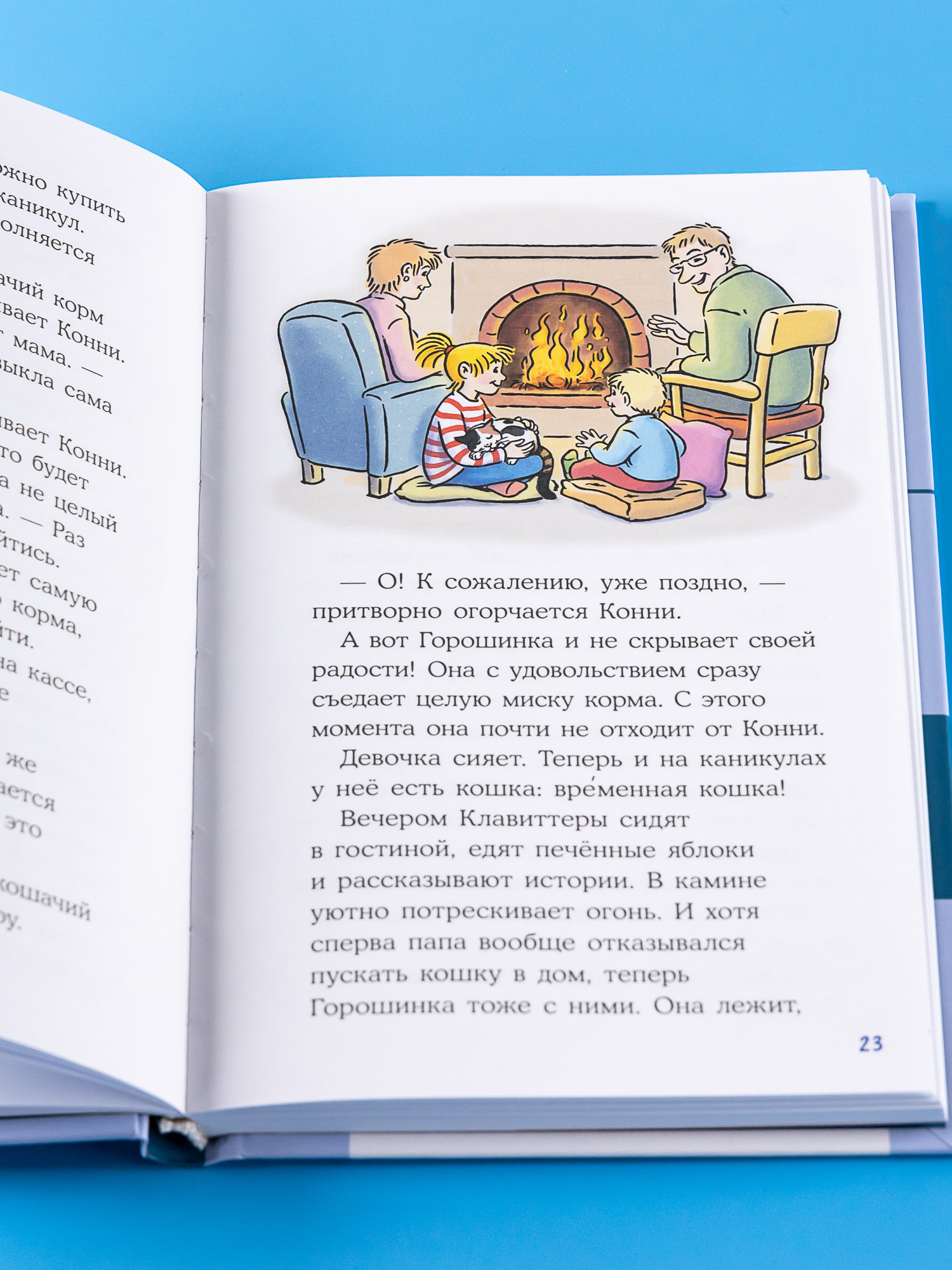 Книга Альпина. Дети Приключения на зимних каникулах - фото 10