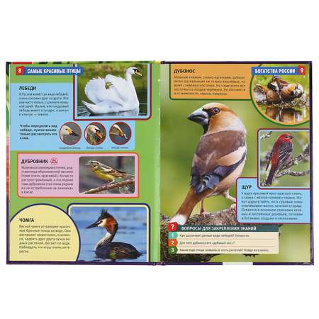 Книга Умка Самые красивые птицы. Энциклопедия с развивающими заданиями 294441