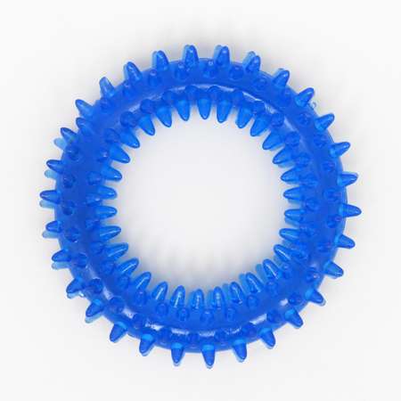 Игрушка Пижон жевательная для собак «Игольчатое кольцо» 9 см синяя
