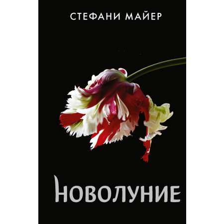 Книга АСТ Новолуние. Новое оформление