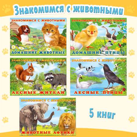 Набор книг Фламинго Познавательные стихи для малышей Знакомимся с животными