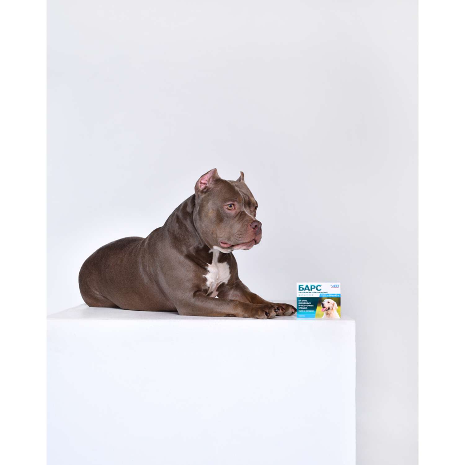 Барс для собак 20 40 кг. АВЗ Барс собака реклама 2015.
