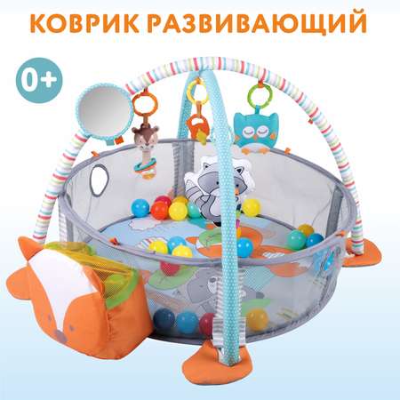 Коврик развивающий Konig kids OTG0899829