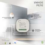 Умное реле SECURIC Wi-Fi RF одноканальное