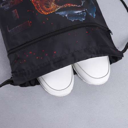 Мешок для обуви ArtFox «T-REX». 41х34 см