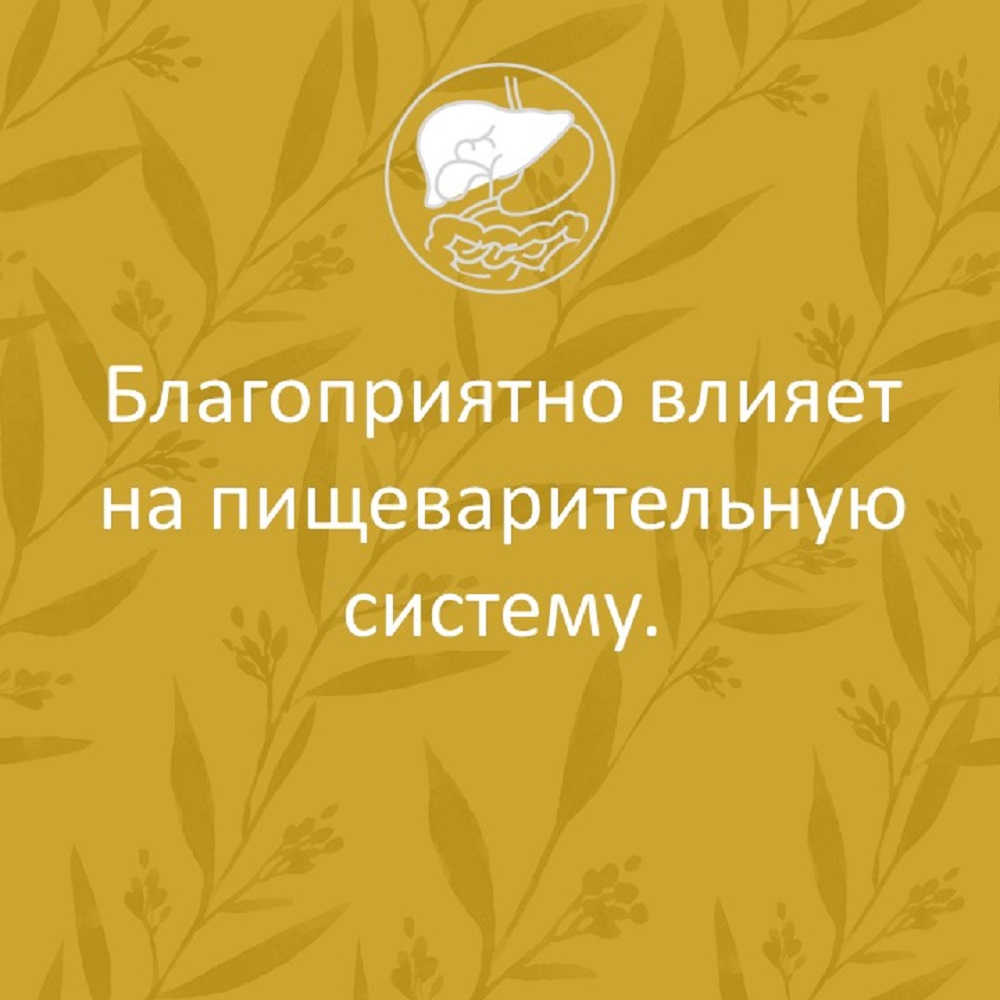 Сироп имбирный ФИТА-ВИТА-МИКС с лимоном и витамином С 100 мл - фото 5