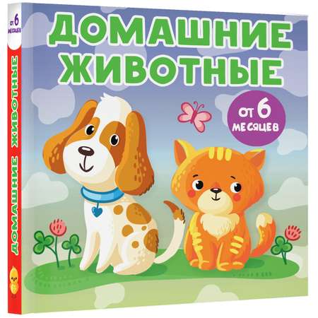 Книга книжки малышки на картоне Домашние животные