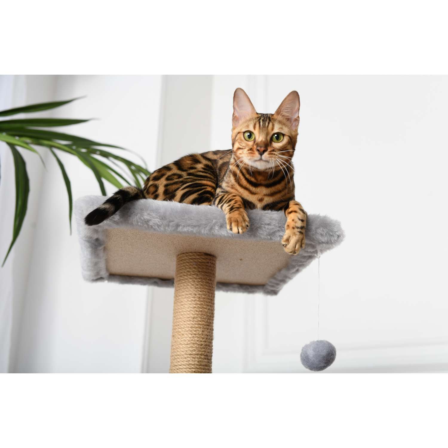 Когтеточка для кошек домик БРИСИ Серый - фото 10