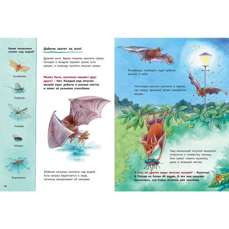 Книга ЭНАС-книга Куда летит летучая мышь? Познавательные истории