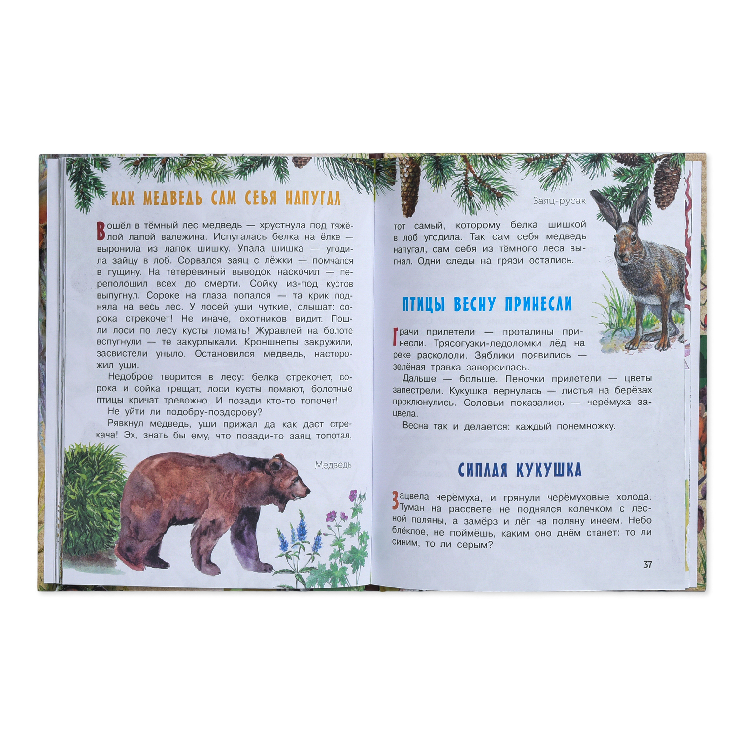Книга АСТ Лесные сказки первые книжки о животных - фото 2