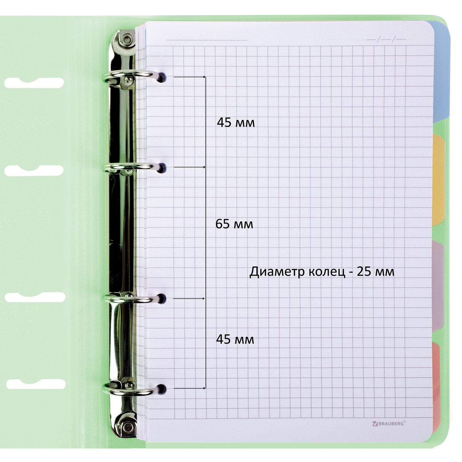 Тетрадь на кольцах Brauberg А5 со сменным блоком 120 листов с резинкой и разделителями - фото 4