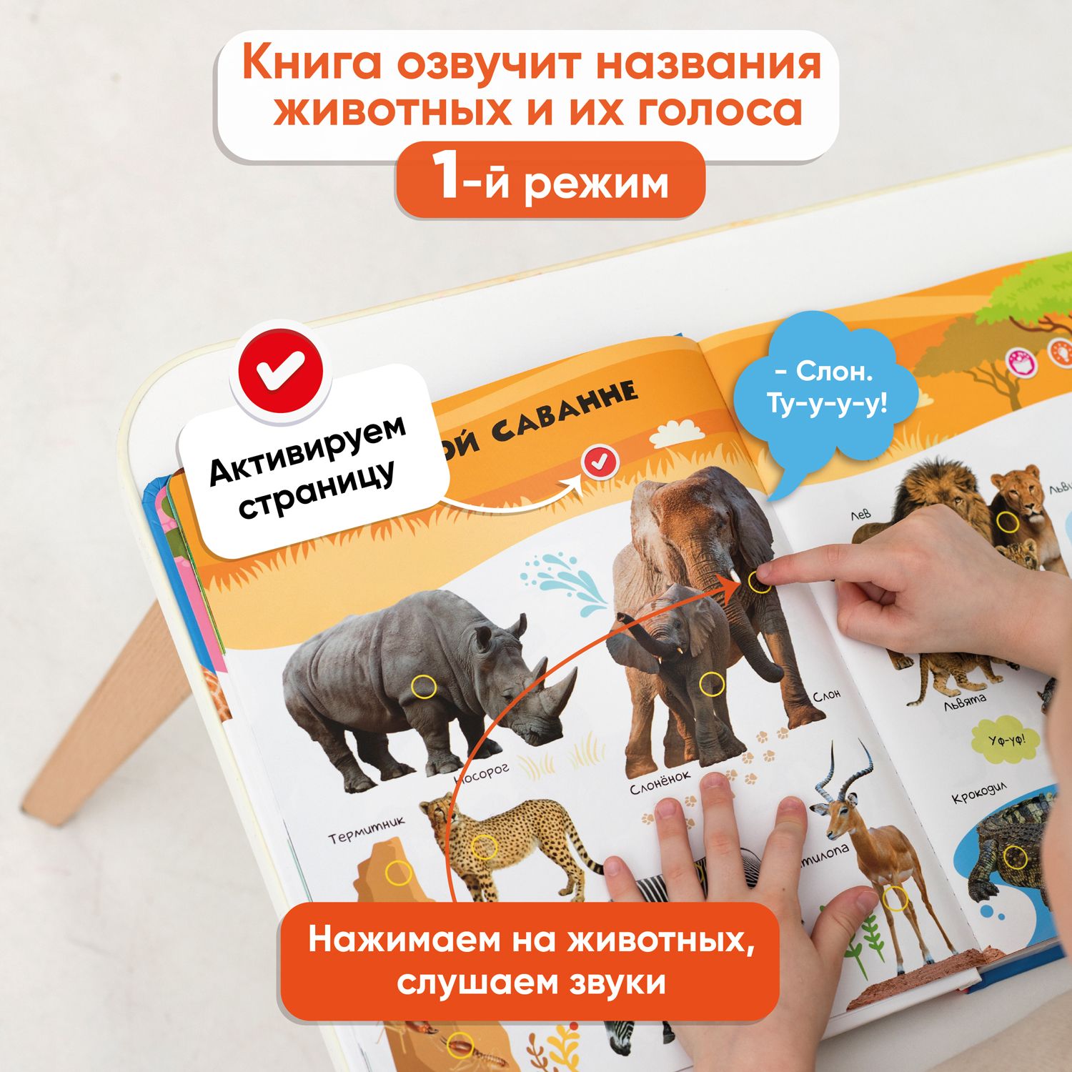 Говорящая книжка BertToys большая нажималка животные купить по цене 2789 ₽  в интернет-магазине Детский мир