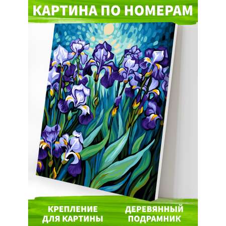 Картина по номерам Art on Canvas холст на деревянном подрамнике 40х50 см Ирисы