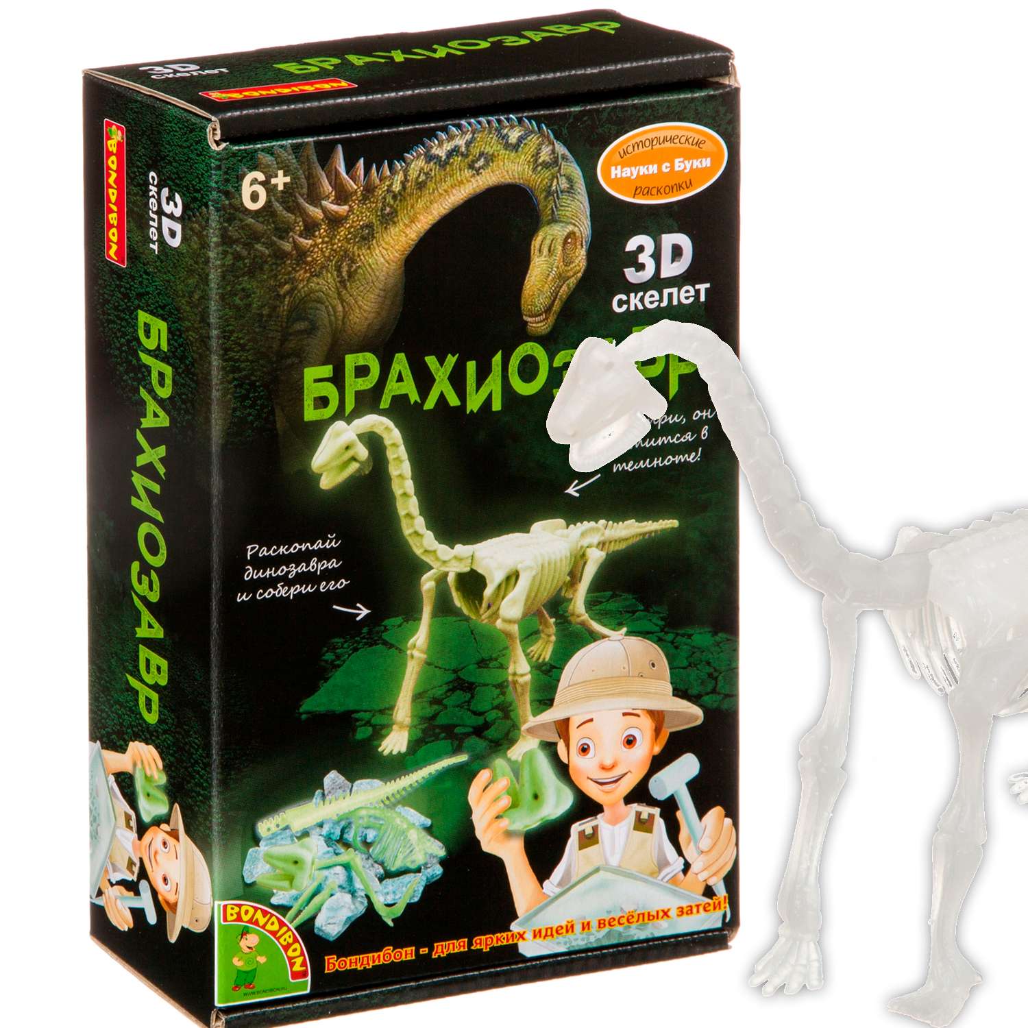 Исторические раскопки BONDIBON Брахиозавр светящийся в темноте серия Науки с Буки - фото 1