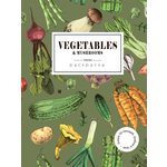 Раскраска Жёлудь Vegetables. овощи