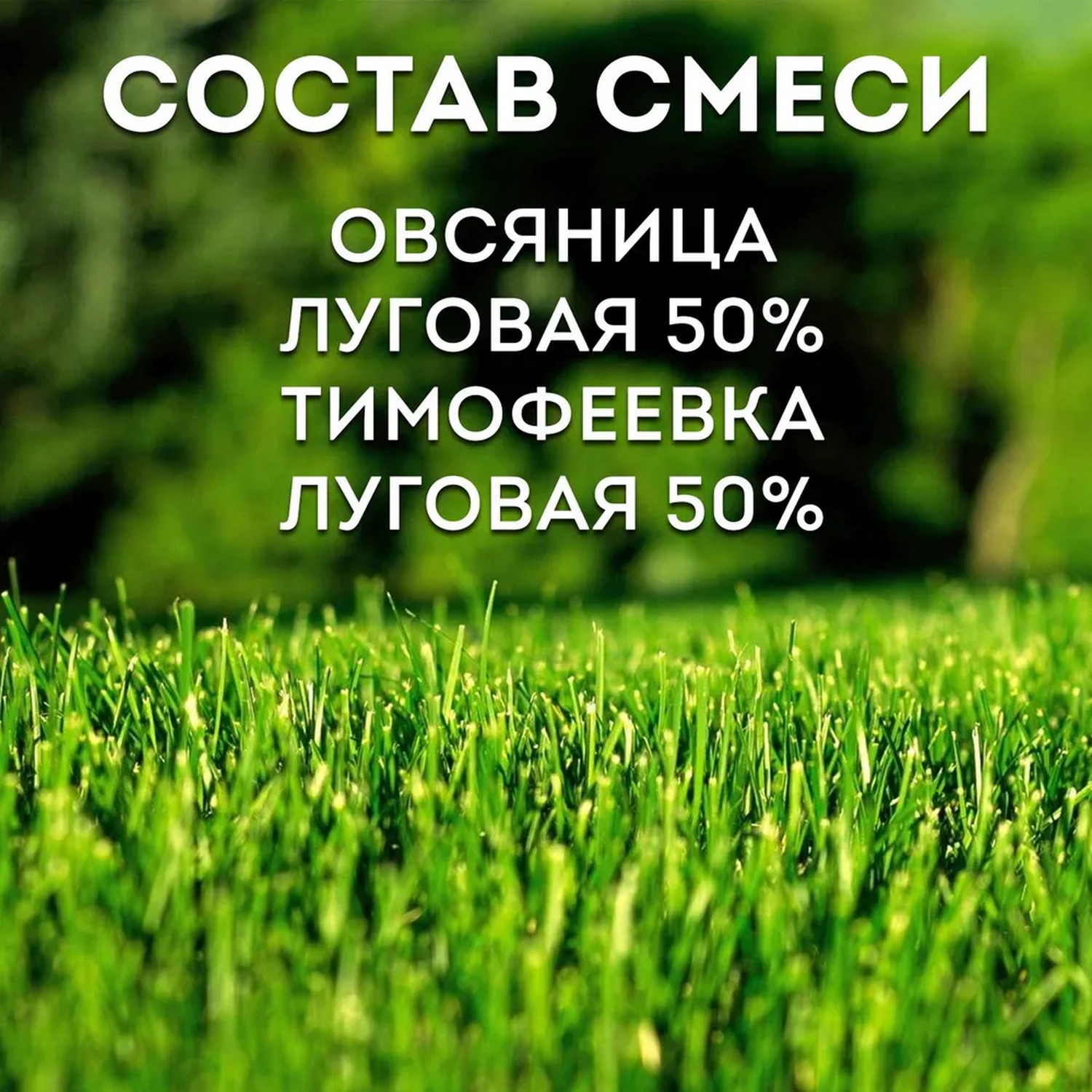 Семена газона Зеленый уголок травосмесь Озеленитель 2.5кг - фото 4