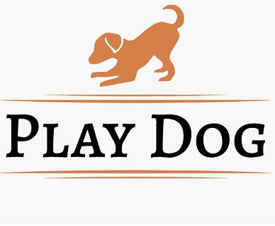 Play Dog