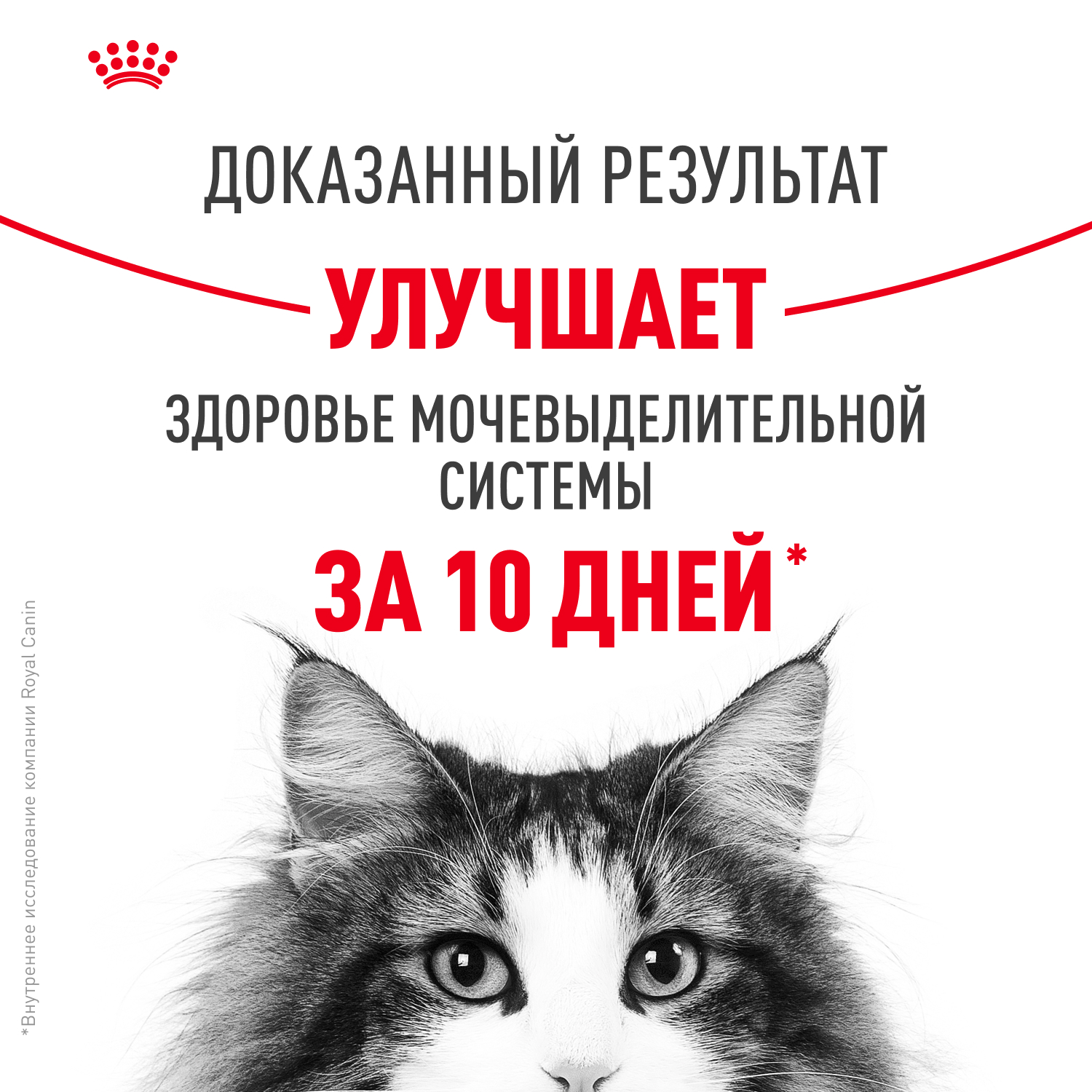 Сухой корм для кошек ROYAL CANIN Urinary 4 кг (для мочевыделительной системы, полнорационный) - фото 3