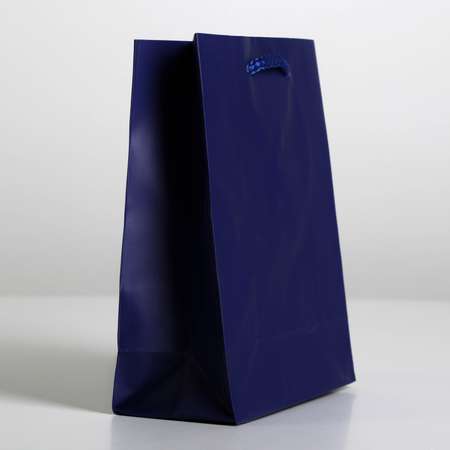 Пакет подарочный Доступные Радости ТМ «Синий» S