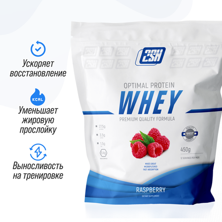 Протеин сывороточный 2SN Whey Protein 12 порций 450 г Малина