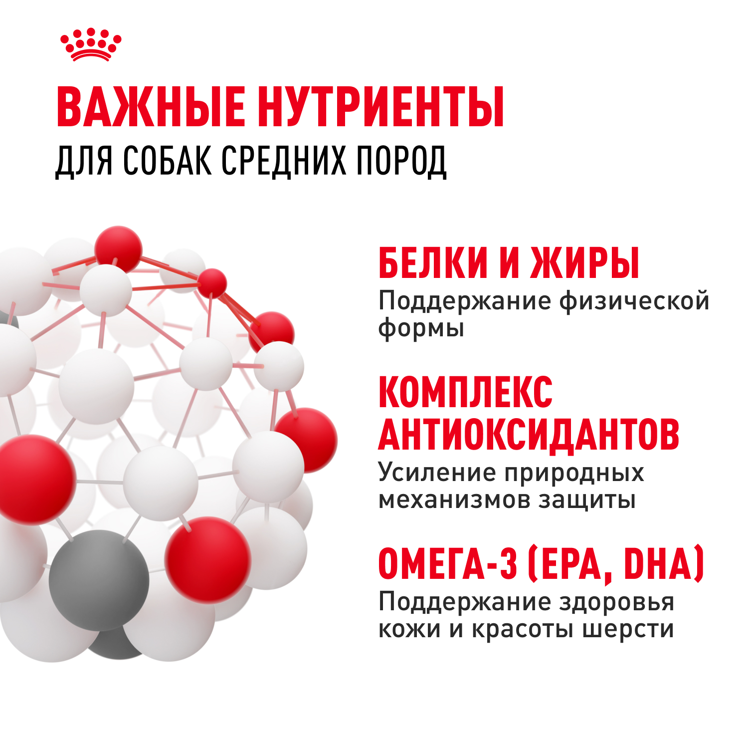 Корм для собак ROYAL CANIN средних пород 15кг - фото 6