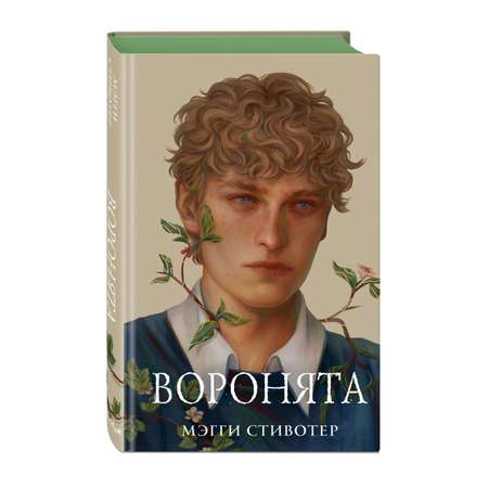 Книга ЭКСМО-ПРЕСС Вороновый круг Воронята 1 подарочное оформление