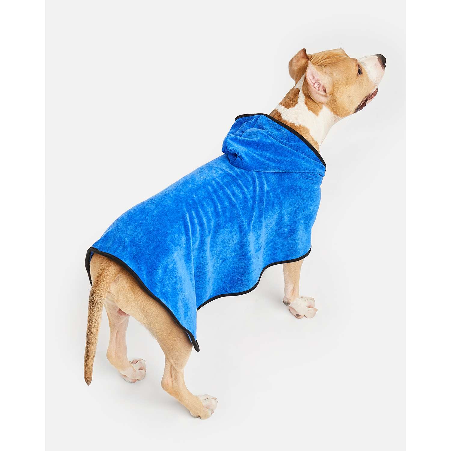 Полотенце-халат для собак Zoozavr 60см Синий - фото 8