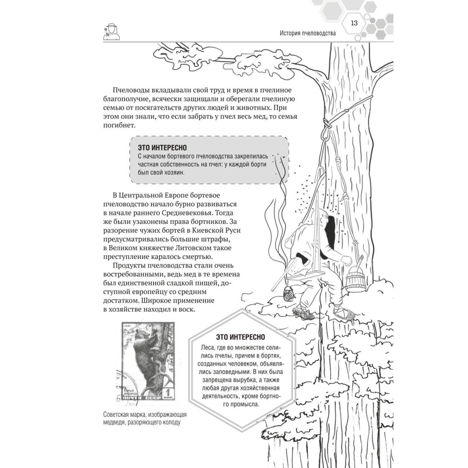 Книга ЭКСМО-ПРЕСС Большая энциклопедия пчеловода - фото 7